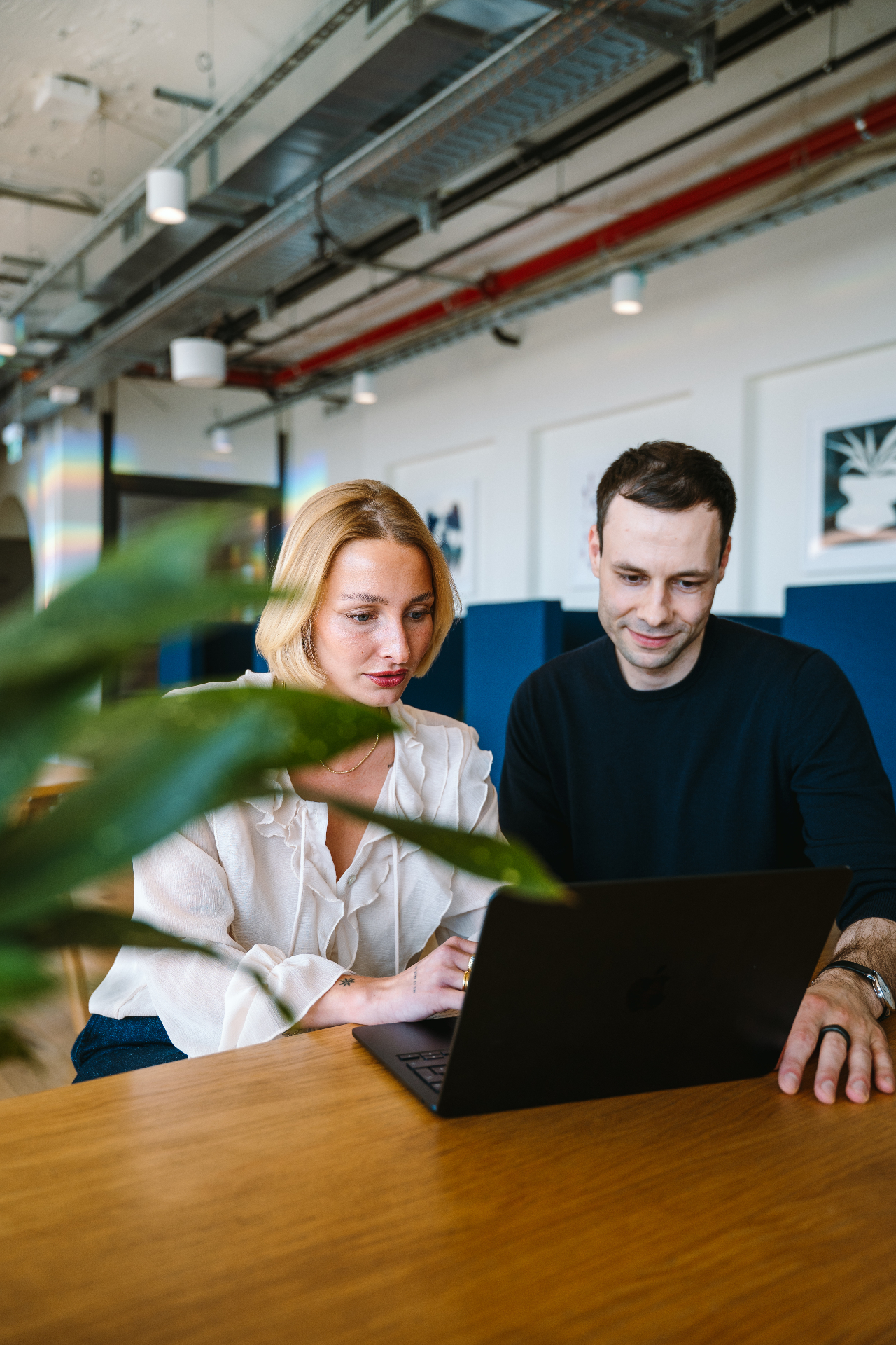 Persönliche Betreuung durch das Fideus-Team – gemeinsam mit Agentur-Kunden am Laptop